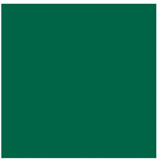 Artequipment TALENS REMBRANDT 40ML 616 - VIRIDIAN - farba olejna uniw