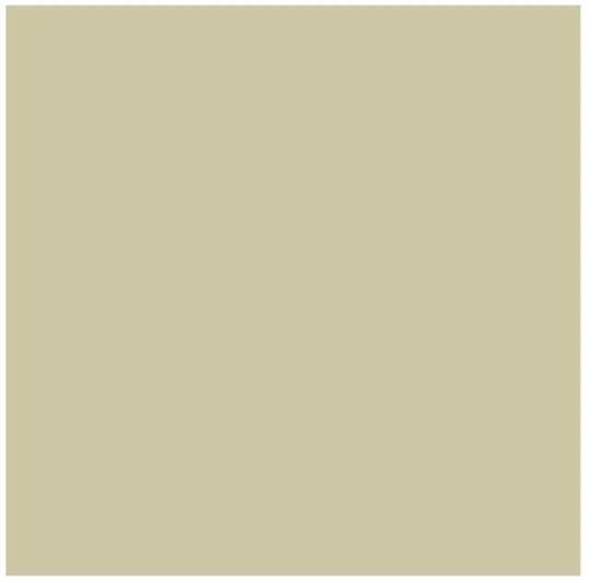 Artequipment Rembrandt Oil Colour Tube Sidabrinis 800