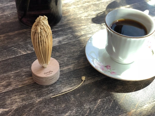 Bayer Design Bayer Rivsalt™ TOOTHPICK