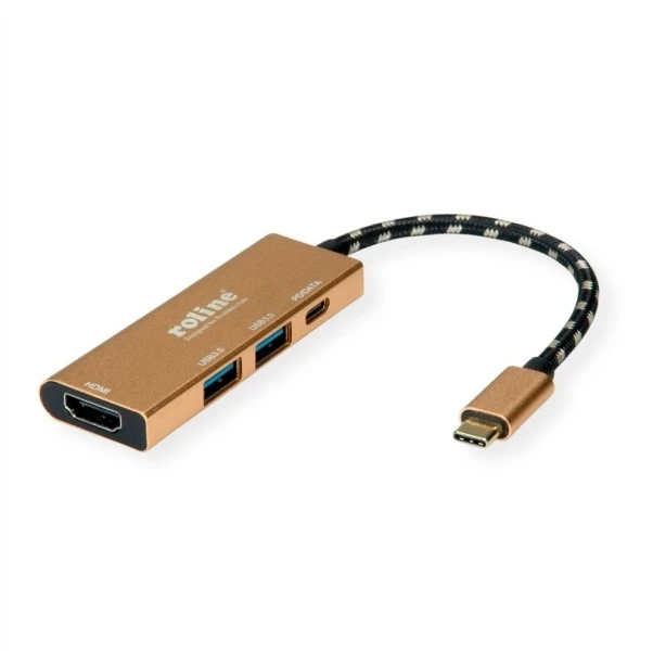 Šakotuvas „Roline Gold“ USB-C stotis / replikatorius (1119-12-02)