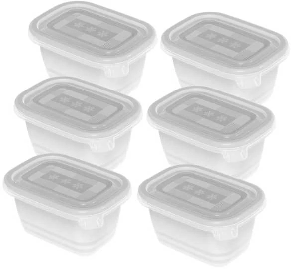 ROTHO Freeze - šaldiklis container - 6x250ml