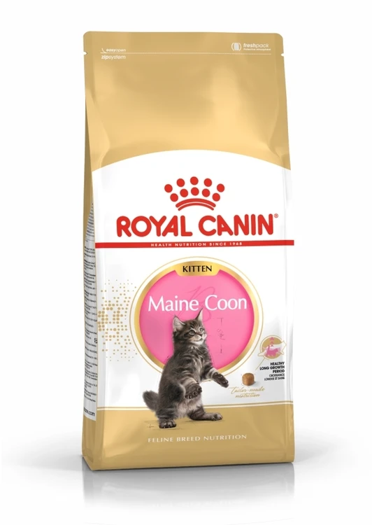 Royal Canin Maine Coon kačiukas 10kg