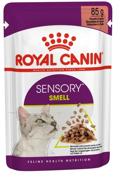Royal Canin FHN Cat Sensory Smell Gravy 12x85 g