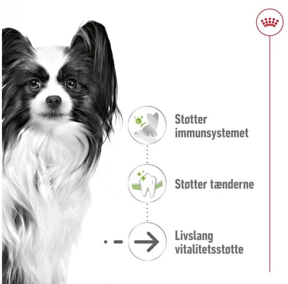 Royal Canin X-Small vyresniems nei 12 metų šunų sausas maistas - 1.5kg
