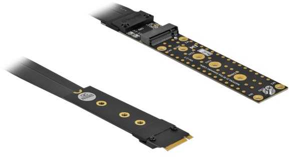 Delock M.2 M rakto plėtinys NVMe išplėtimo kortelė 20 cm (64136)
