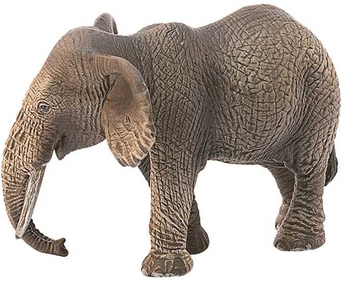 Schleich Afrikinio dramblio patelė