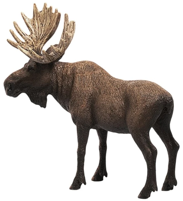 Schleich figūrėlė Briedis, patinas