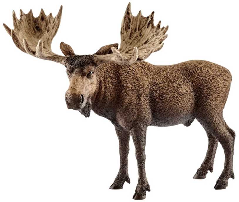 Schleich figūrėlė Briedis, patinas