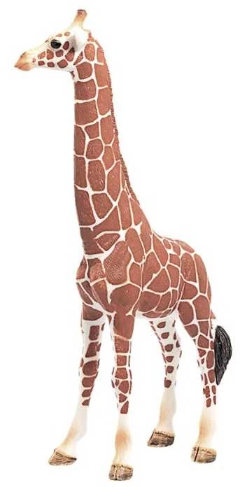 Schleich figūrėlė Žirafos patelė