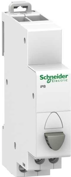 „Schneider Electric“ vieno rutulinio mygtuko iPB 1 NO (A9E18032)