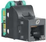 Schneider Electric Renova kompiuterinio lizdo RJ45 modulis UTP Cat5E