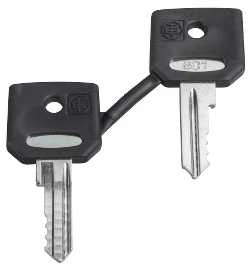 Schneider Electric Atsarginis raktas 2vnt.. NR455 ZBG455