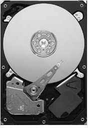 Serverio diskas Seagate Seagate vamzdynas HD ST3320311CS - 320G