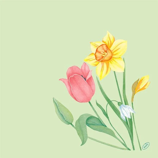 Servetėlės Bio Dunisoft Spring Melody I 40xP 40 cm, žiedynų formos, 60 vnt./pak.