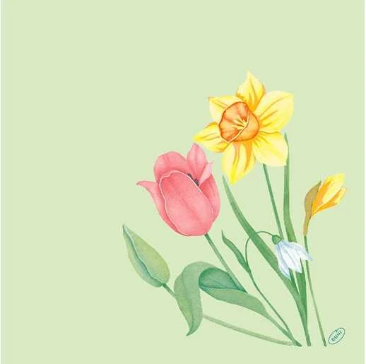 Servetėlės Bio Dunisoft Spring Melody I 40xP 40 cm, žiedynų formos, 60 vnt./pak.