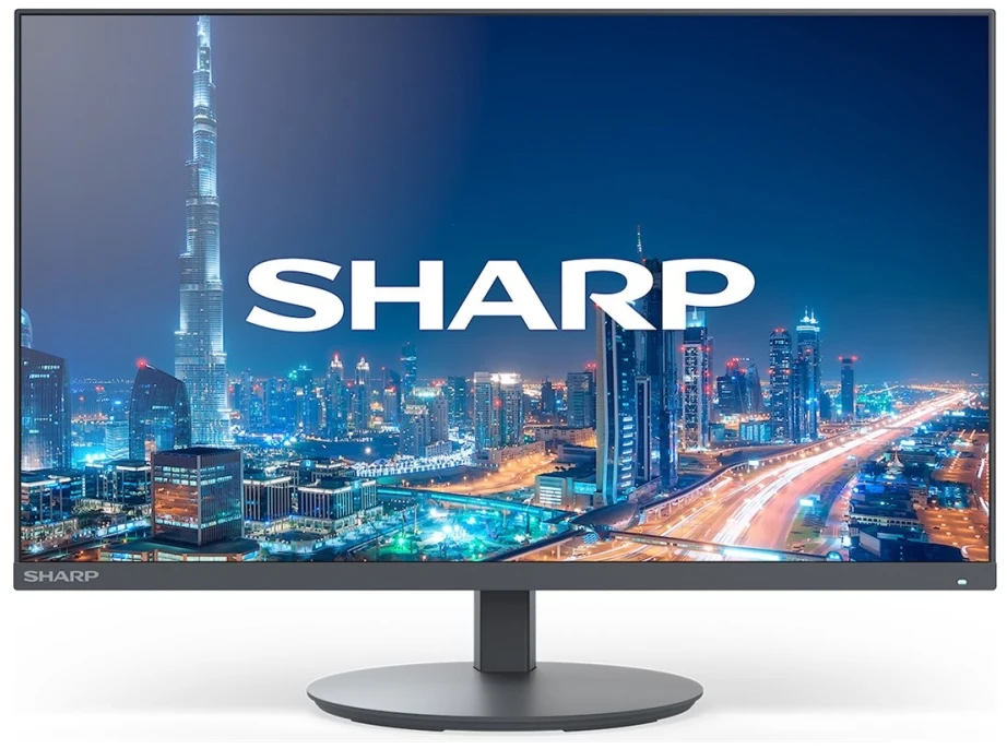 Monitorius Sharp NEC Multisync DD-E244FL