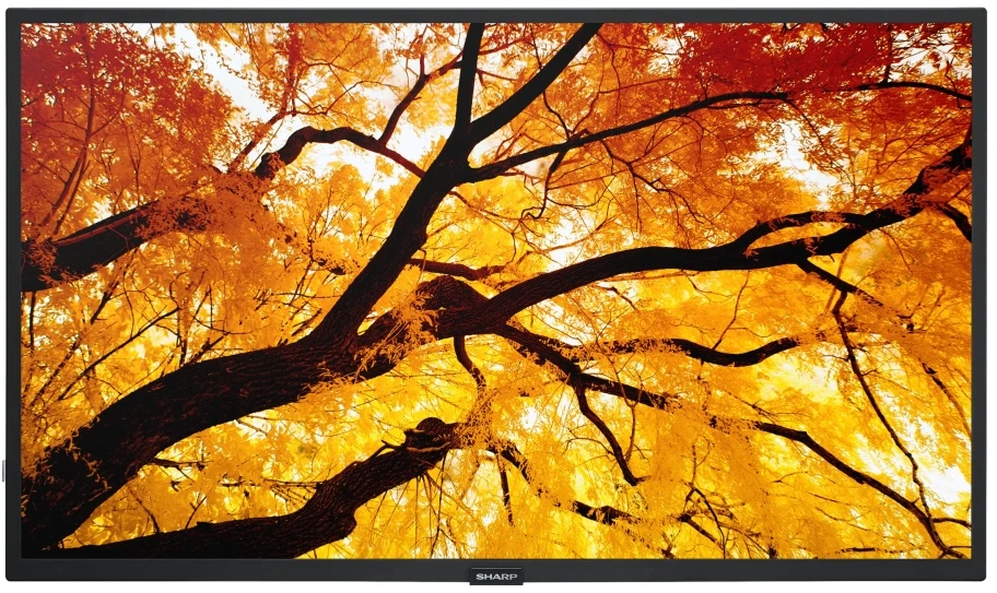 Monitorius Sharp M322 32 colių LFD FHD D-LED ekranas – 450CD/QM 24/7 USB MP