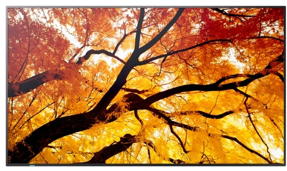 Monitorius Sharp M982 98IN UHD LFD D-LED - 24/7 550CD SDM CM SLOT