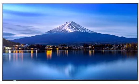 Monitorius Sharp P556 (60005916)