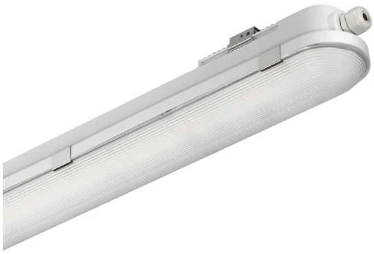 Philips sandarusis WT120C IP65 LED18S/840 (84045900)