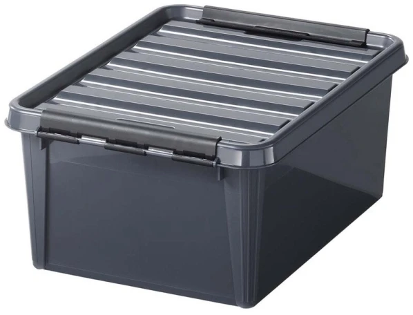 Smartstoretm SMARTSTORE Daiktadėž Colour 14l pilka