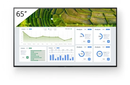 Monitorius Sony FW-65BZ30L 65 colių profesionalus televizorius su ekranu, 4K HDR, veikimas visą parą