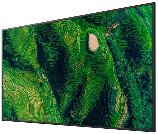 Monitorius Televizorius Sony FW-65BZ35P Edge LED 65'' 4K UHD Android (FW65BZ35PB.CEI)