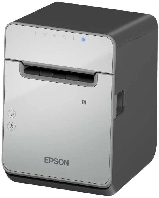Spausdintuvas Epson TM-L100 (111), Tiesioginis terminis, 203 x 203 DPI, Laidinis, Juoda, Pilka