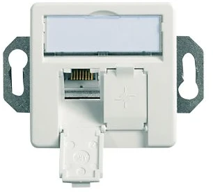Telegärtner 100022957, 2 x RJ-45, 6a, Balta, Cinkas, 1 vnt.