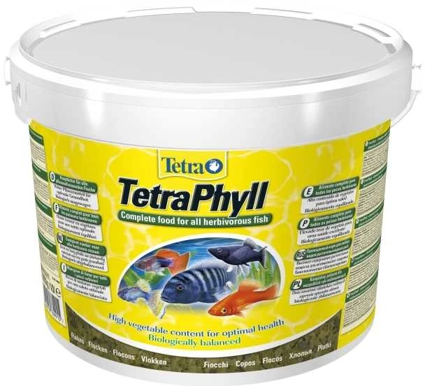 Tetra Phyll dribsniai 10 l