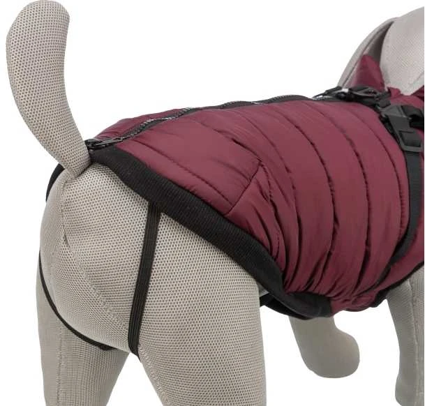 Trixie Pirou žieminė striukė su petnešom, S: 40 cm, t.raudona