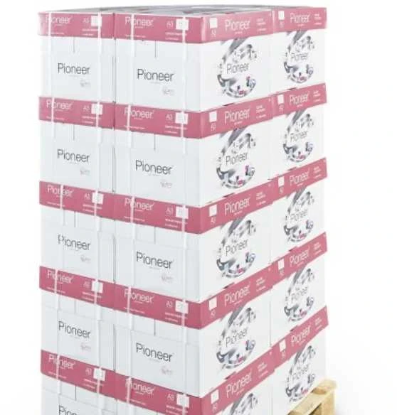 Biuro popierius Pioneer, A3, 80g (500) 0701-065