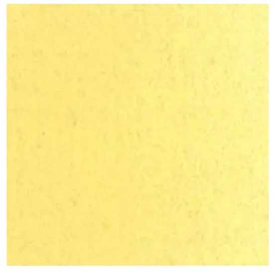 Talens Van Gogh Aliejiniai dažai 40ml 222 Naples Geltona Light