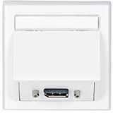 VivoLink WI221196 gniazdko elektryczne DisplayPort Baltas
