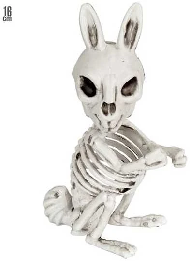 Widmann Triušio skeletas 16 cm
