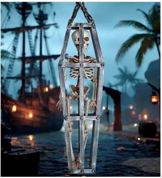 Widmann Skeletas ir burbuolė, 50 cm