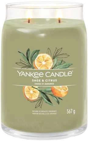 Yankee Candle Aromatinė žvakė "Signature large glass Sage - Citrus" 567 g