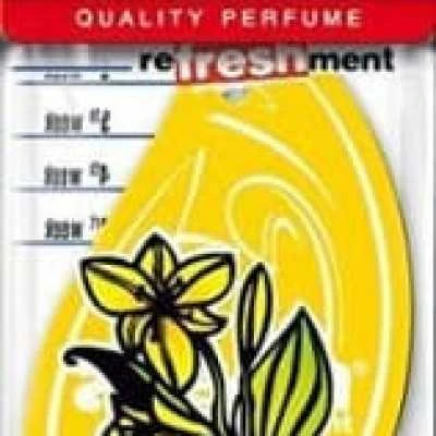Oro gaiviklis AREON Vanilla 1 vnt.
