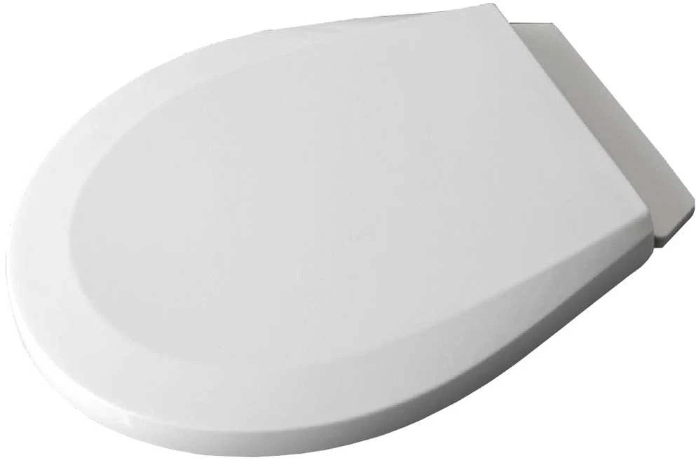 Etovis Vaikiško klozeto dangtis AA-3002 (120241)