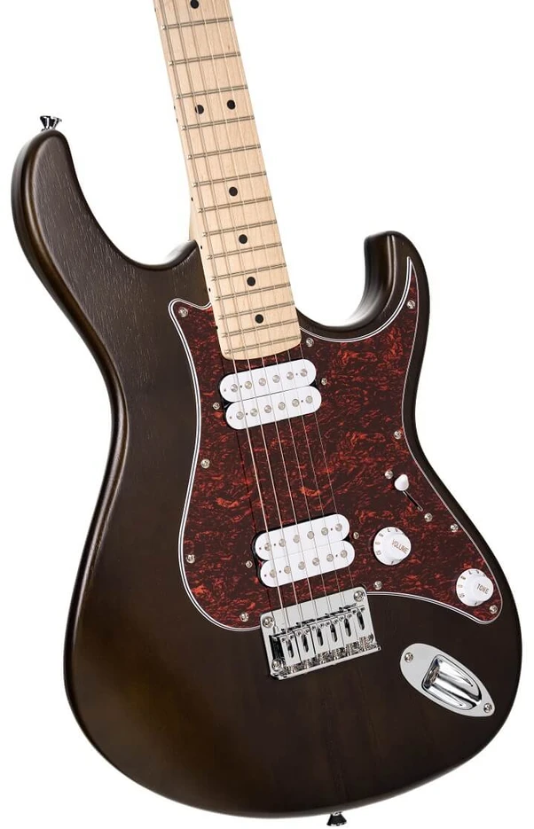 Elektrinė gitara Cort G100 OPW HH