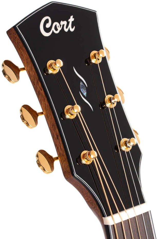 Elektro-akustinė gitara Cort Gold-A6 Bocote