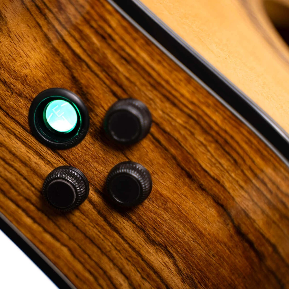 Elektro-akustinė gitara Cort Gold-A6 Bocote