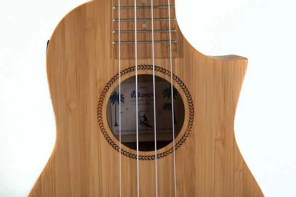 Koncertinė ukulelė su įgarsinimu Gewa BAMBOO E-A Concert