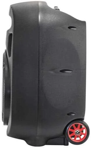 Nešiojama kolonėlė Ibiza PORT12UHF-MKII (350W)