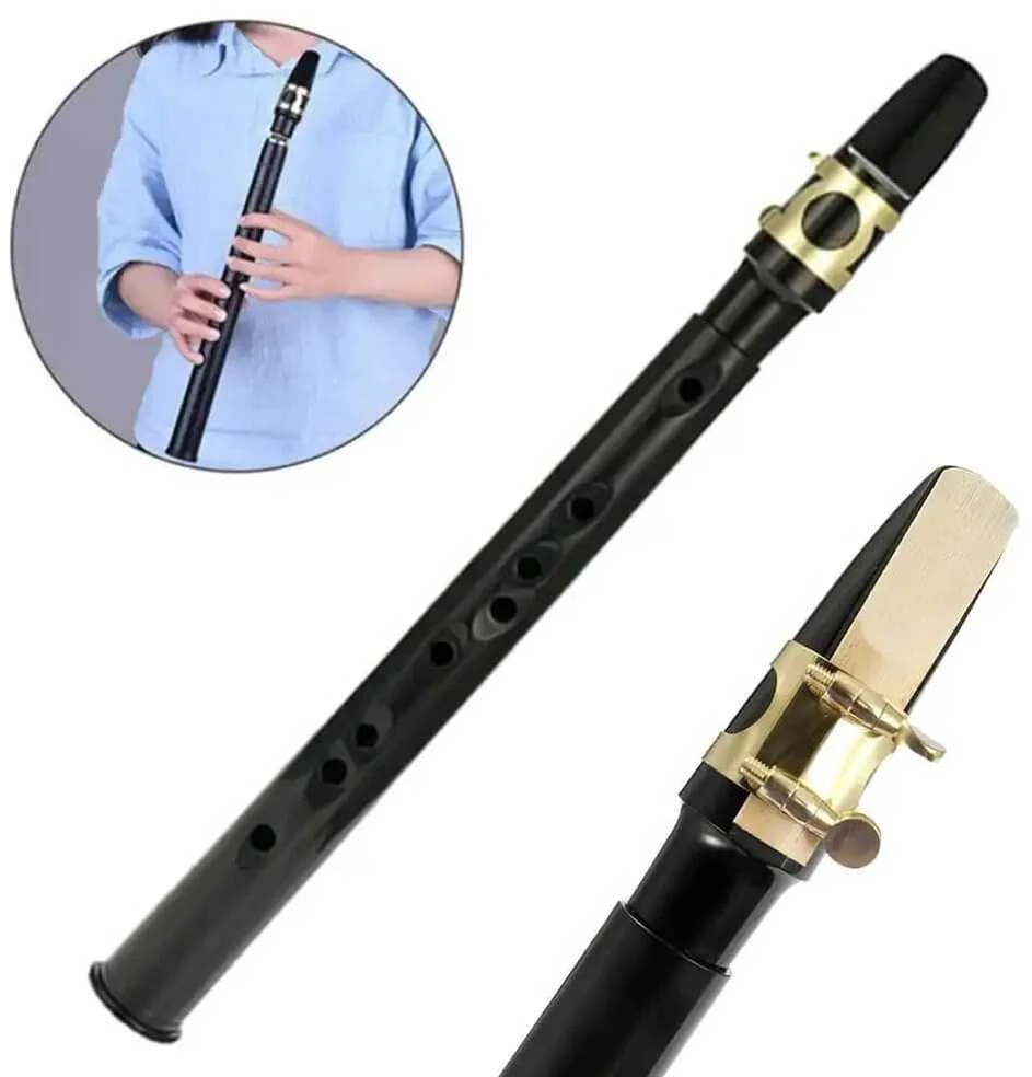 Saksonetė Kera Audio CSM100