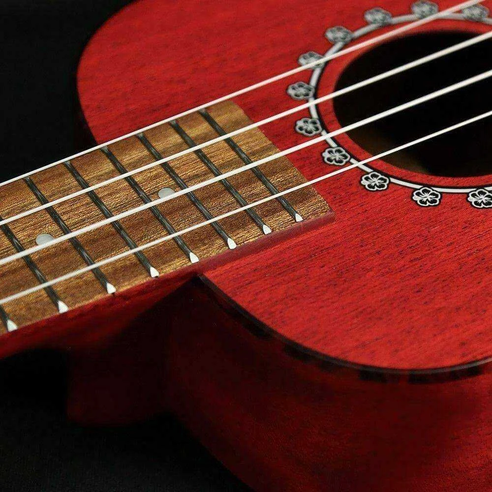Soprano ukulelė PUKA PK-HBS su dėklu