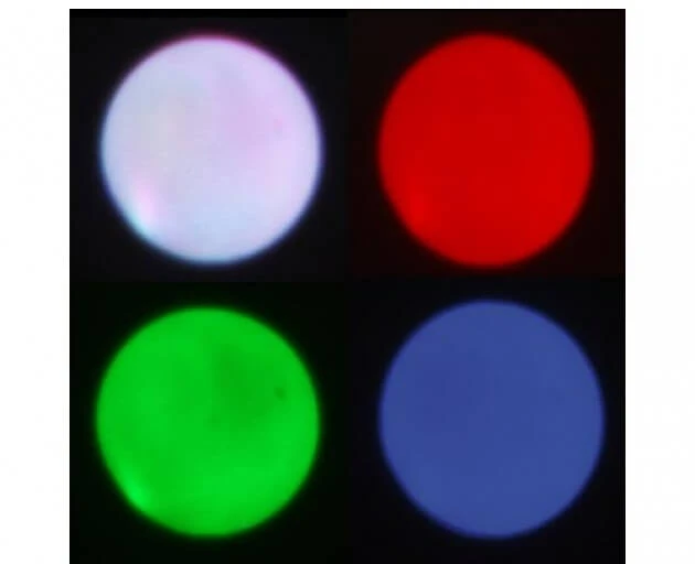 Taškinis šviestuvas Light4me Pinspot 40W