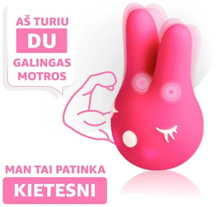 RestArt Bunny vibratorius, 6 režimai, G taško klitoris Klito spenelių stimuliavimas
