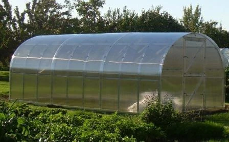 Meistro Kodas Arkinis šiltnamis KLASIKA 18 m2/4 mm danga (3x6 m)