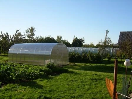 Meistro Kodas Arkinis šiltnamis KLASIKA 18 m2/6 mm danga (3x6 m)